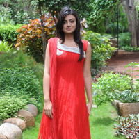 Nikitha Narayan New Pictures | Picture 68864